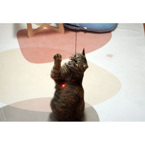 Firefly Cat Teaser Wand β Interactive Light-Up Toy for Cats