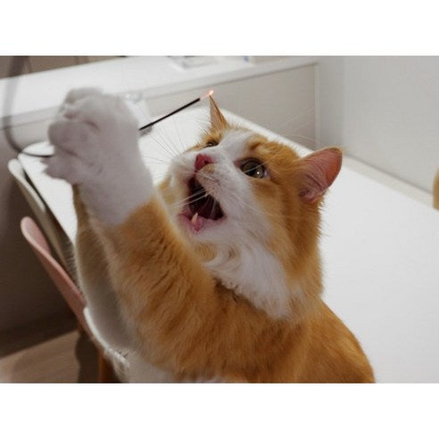Firefly Cat Teaser Wand – Interactive Light-Up Toy for Cats